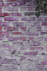 Similar image 5532214