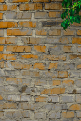 Similar image 5532215