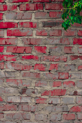 Similar image 5532216