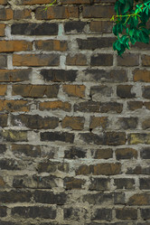 Similar image 5532218