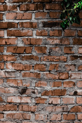 Similar image 5532220