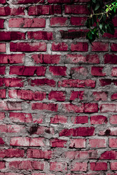 Similar image 5532221