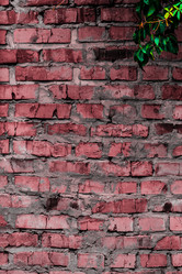 Similar image 5532222