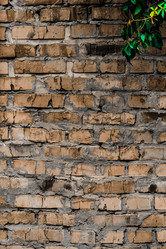 Similar image 5532223