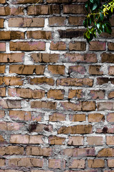 Similar image 5532224