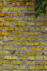 Similar image 5532226