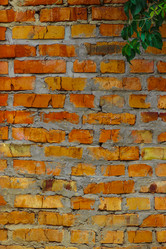 Similar image 5532227