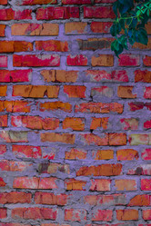 Similar image 5532228