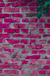 Similar image 5532229