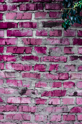 Similar image 5532231