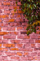 Similar image 5532232