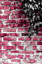 Similar image 5532233