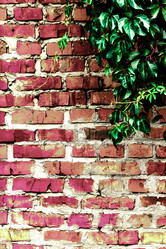 Similar image 5532234