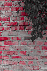 Similar image 5532235