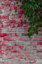 Similar image 5532236