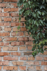 Similar image 5532237