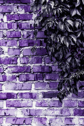 Similar image 5532238