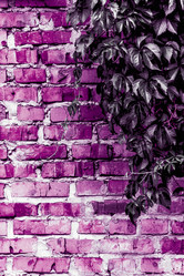 Similar image 5532239