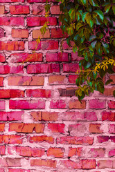 Similar image 5532240