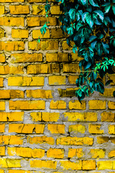 Similar image 5532241