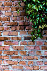 Similar image 5532245