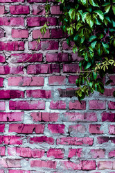 Similar image 5532246