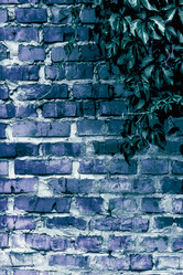 Similar image 5532247