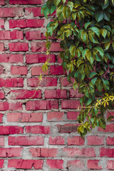 Similar image 5532250