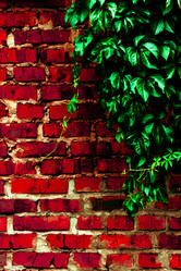 Similar image 5532265