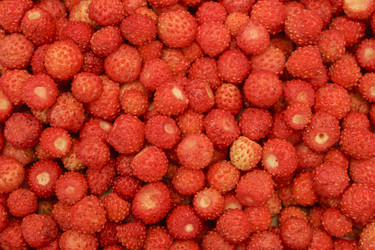 Similar image 5532346