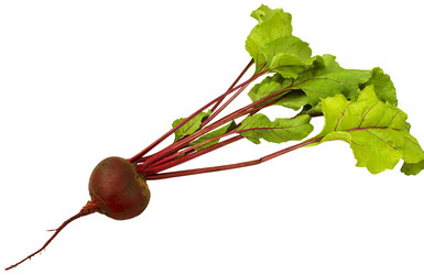 Similar image 5532350