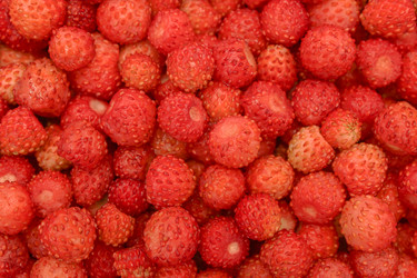 Similar image 5532352