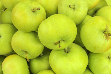 Similar image 5532353