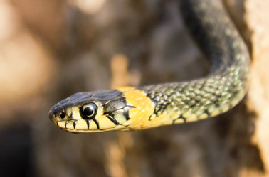 Similar image 5532356