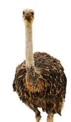 Similar image 5532359