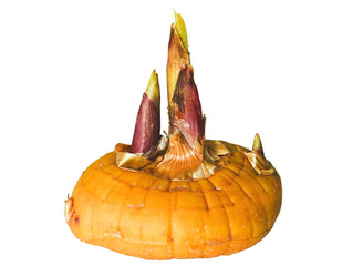 Similar image 5532360