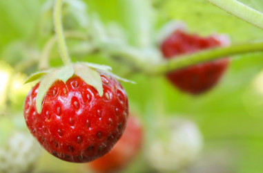 Similar image 5532361