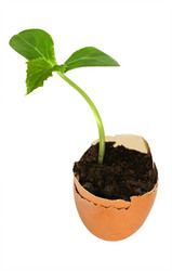 Similar image 5532367