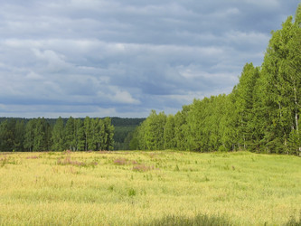 Similar image 5532376