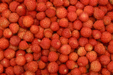 Similar image 5532381