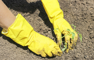 Similar image 5532383