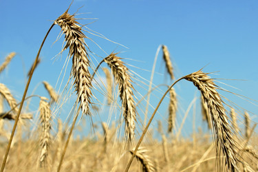 Similar image 5532395