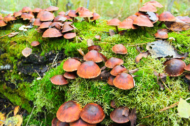 Similar image 5532401