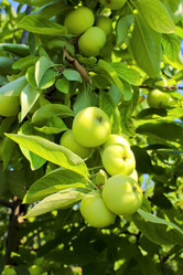 Similar image 5532403