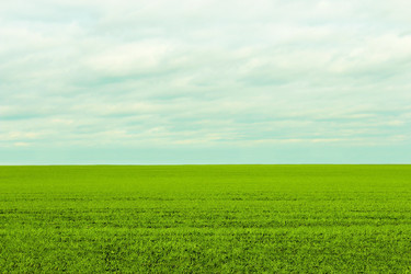 Similar image 5532413