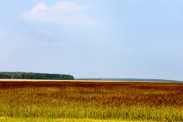 Similar image 5532420