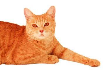 Similar image 5532424