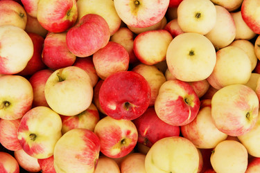 Similar image 5532427