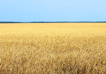 Similar image 5532433