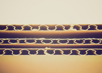 Similar image 5532638